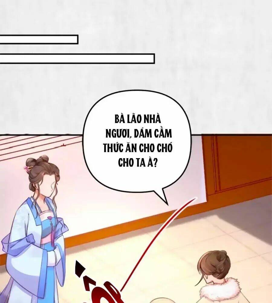 Hoạn Phi Hoàn Triều: Chapter 29