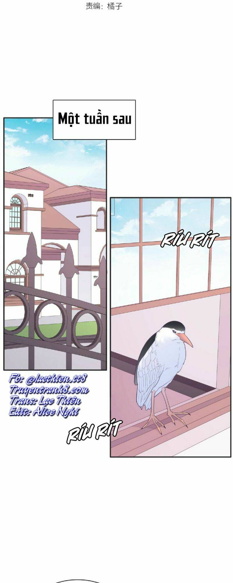 Vương Tử Thành Phố Và Công Chúa Amazon: Chapter 68