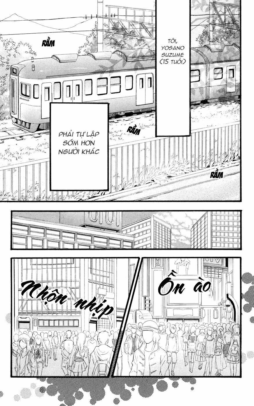 Sao Mai Của Em: Chapter 1