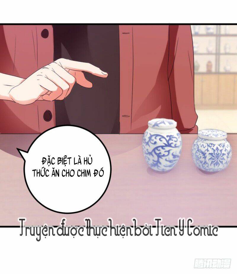 Thấu Thị Tiên Y: Chapter 50