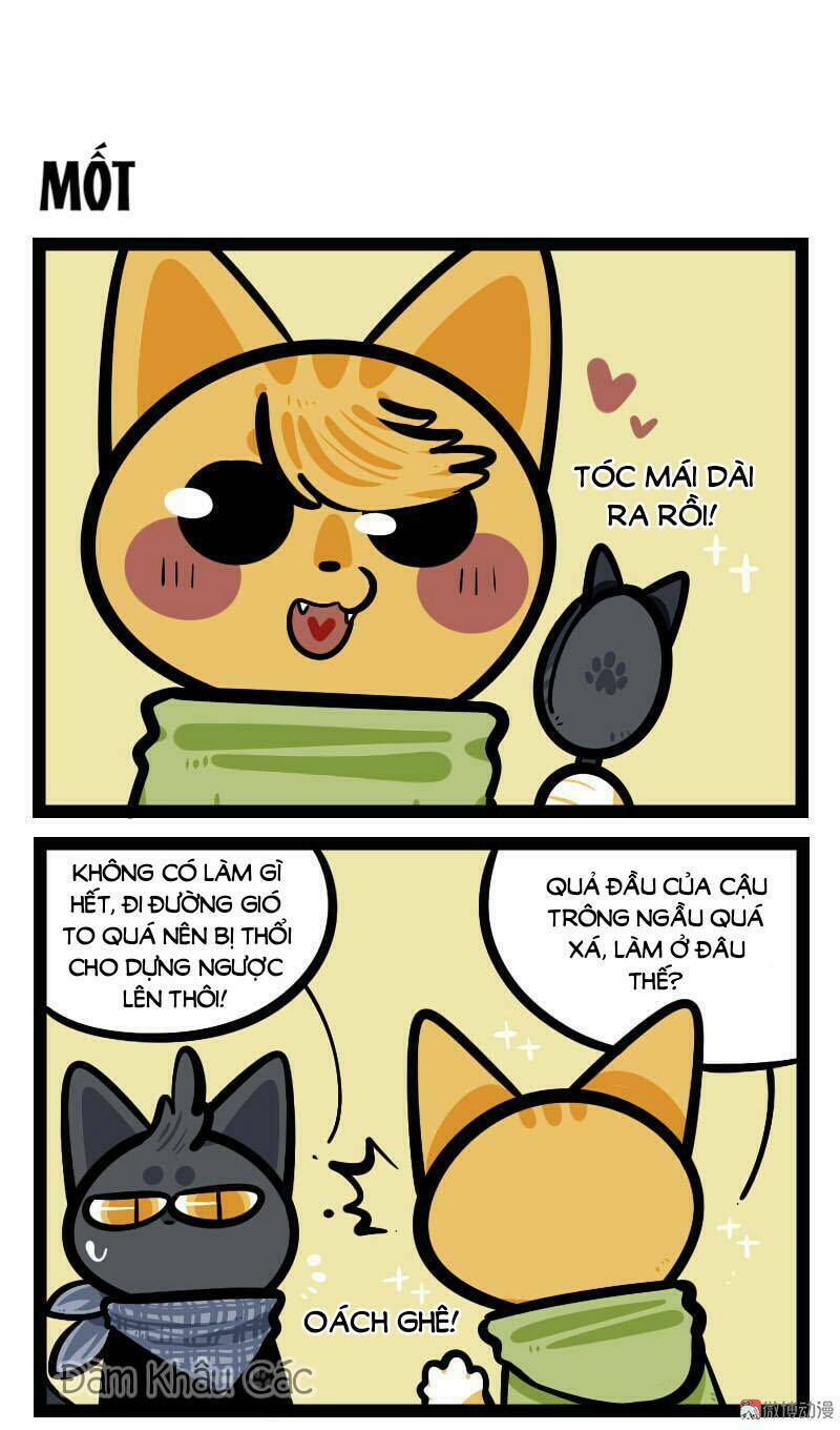 Đời Không Như Mình Tưởng: Chapter 66