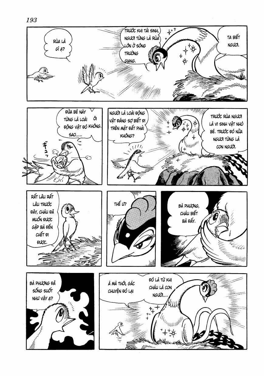 Chim Lửa: Chapter 48