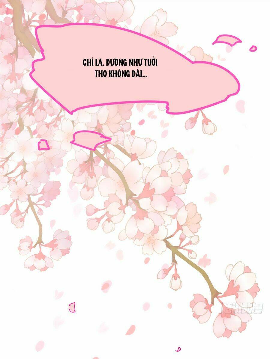 Ngọc Vi Mai: Chapter 27