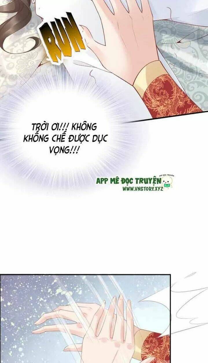 Nhất Sinh Nhất Thế Tiếu Thương Khung: Chapter 52