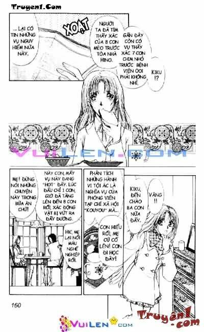 Vua bài: Chapter 1