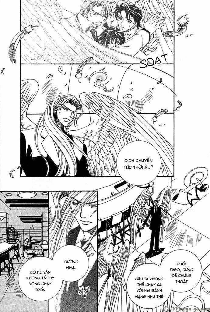 Innocent Bird: Chapter 2