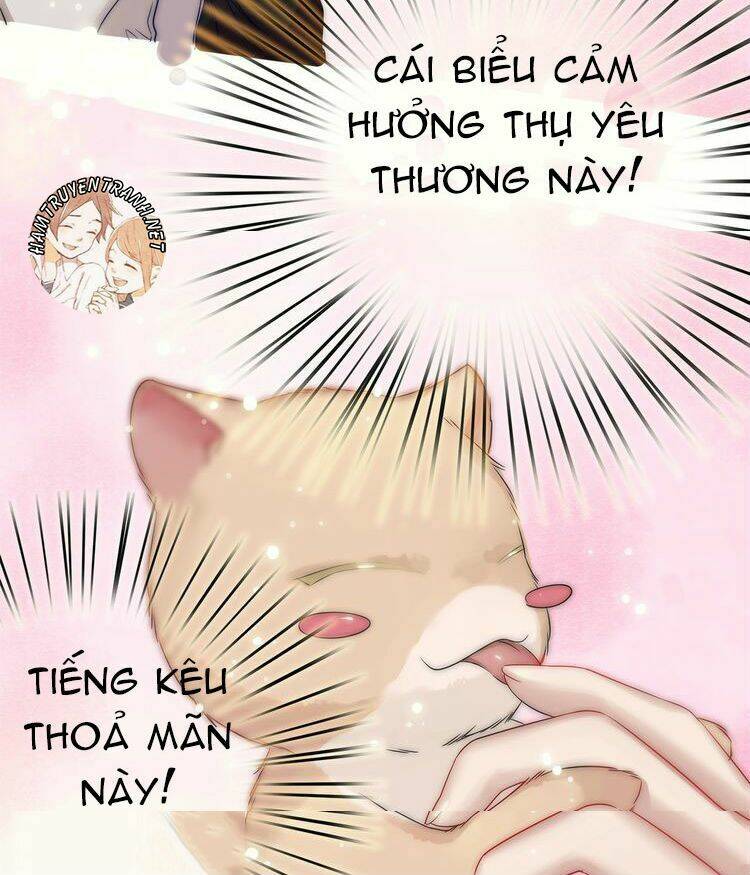 Viện Bảo Tàng Tâm Nguyện: Chapter 2.1