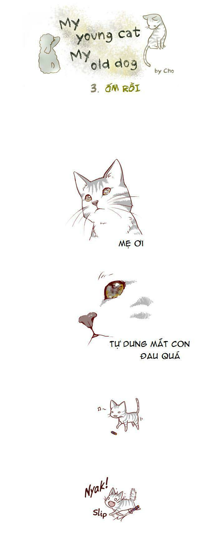 My Young Cat And My Old Dog: Chapter 3