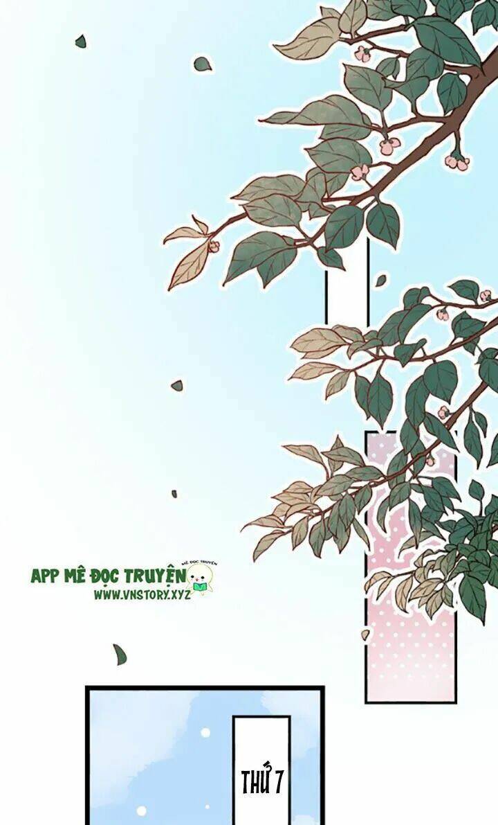 Trạch Thượng Tịch Mịch Huỳnh Hỏa: Chapter 28