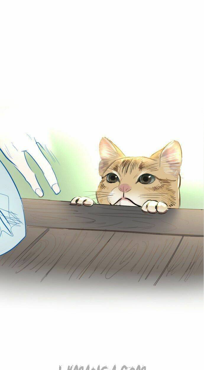 Transparent Cohabitation: Chapter 5