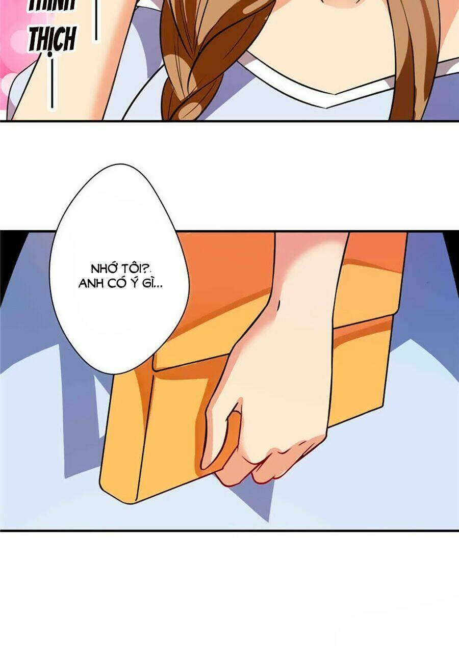 Vợ Yêu Là Báu Vật: Chapter 13