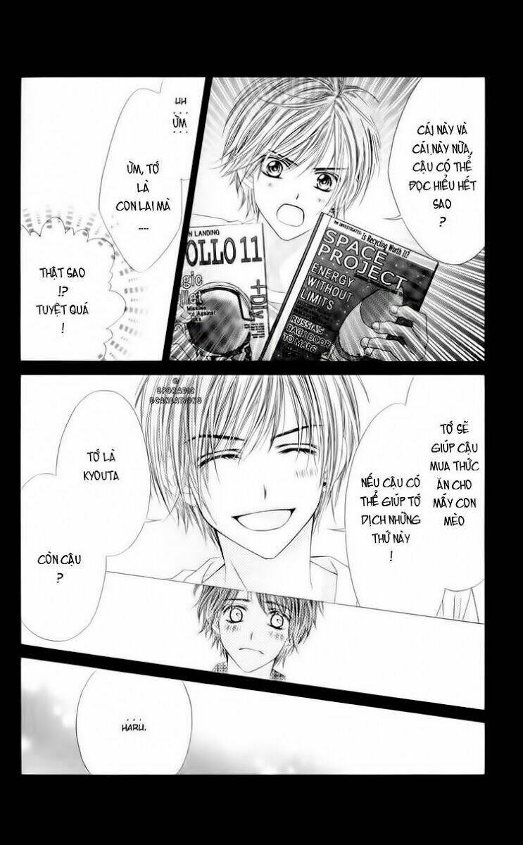 Khởi Đầu Tình Yêu: Chapter 8