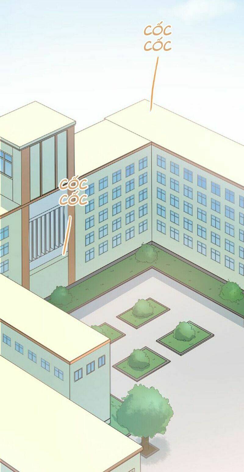 Đầu Gấu Biết Yêu: Chapter 94