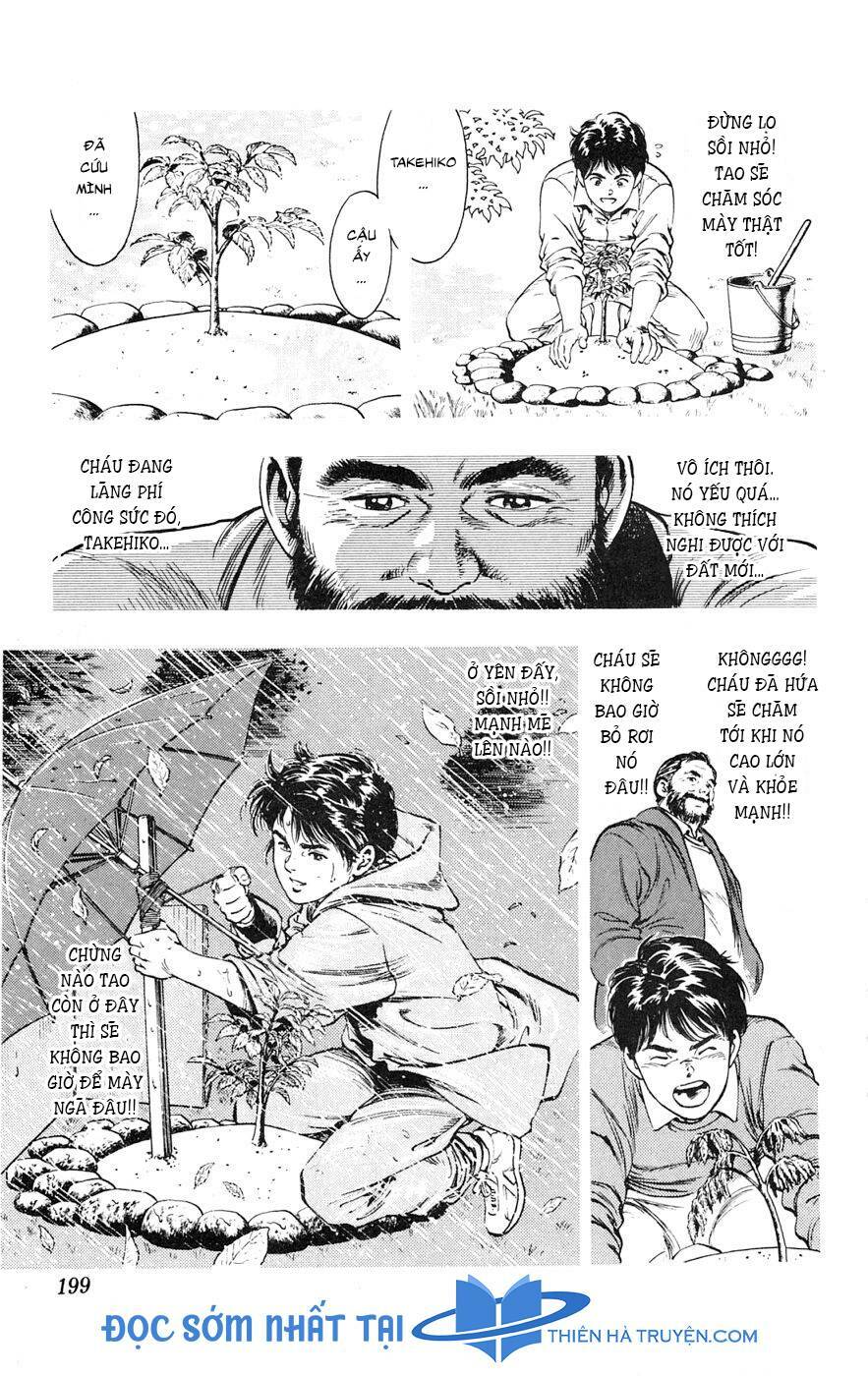 Cô Bé Mặt Trời: Chapter 17