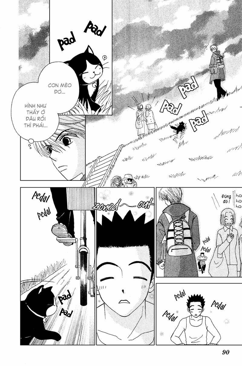 Dự Án Kéo Vàng: Chapter 11