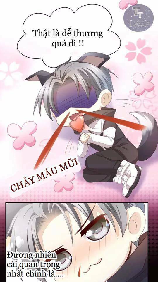 Dưới Móng Vuốt Mèo: Chapter 17