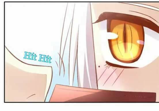 Dưới Móng Vuốt Mèo: Chapter 6