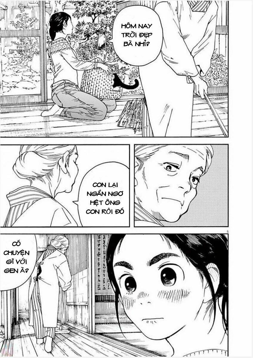 Neko No Otera No Chion-San: Chapter 51