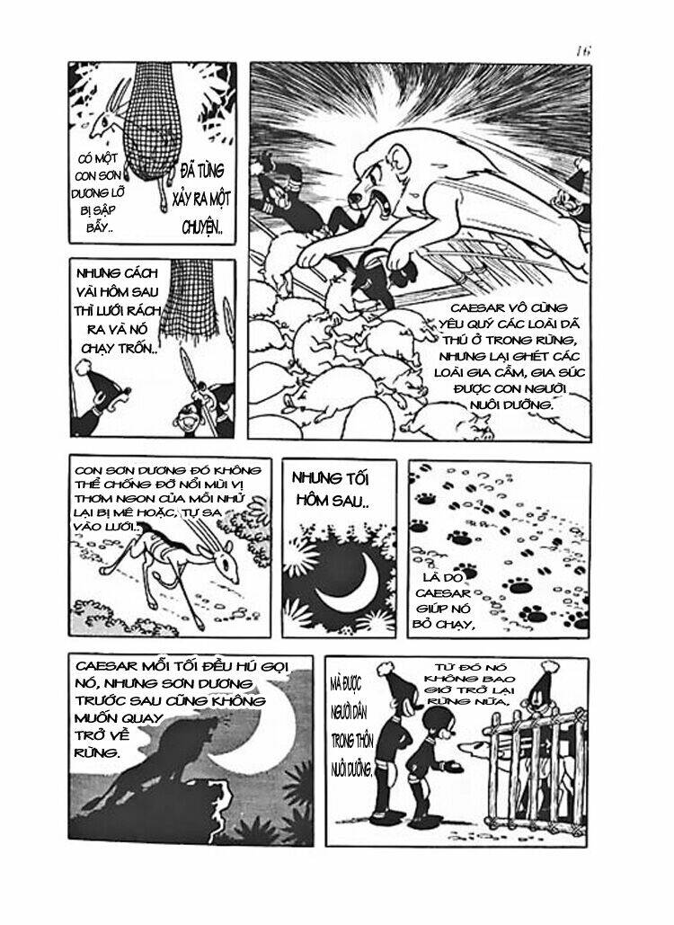 Vua Sư Tử: Chapter 0