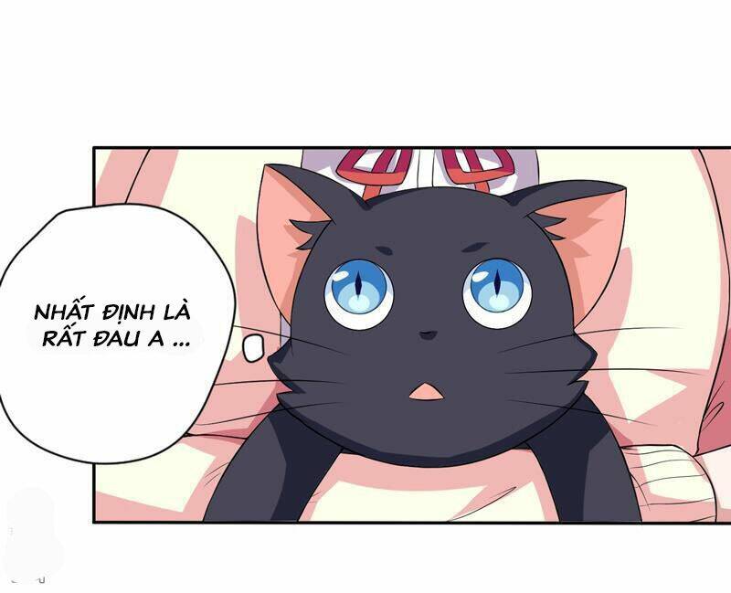 Miêu Vương Tại Thượng: Chapter 5