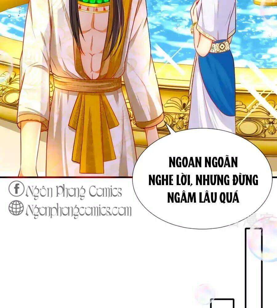 Sủng Hậu Của Vương: Chapter 5