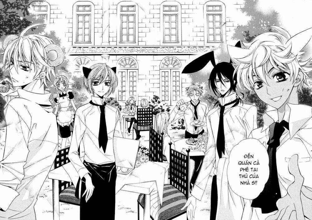 S.L.H (Stray Love Hearts): Chapter 4