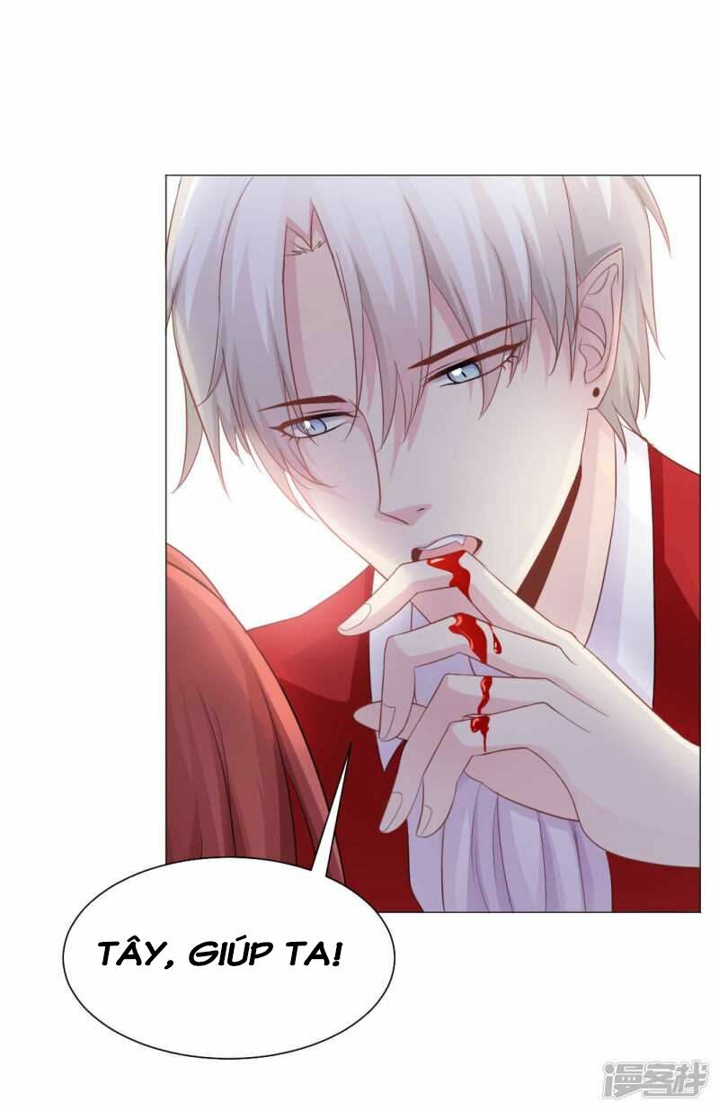Minh Tinh Là Huyết Tộc: Chapter 4