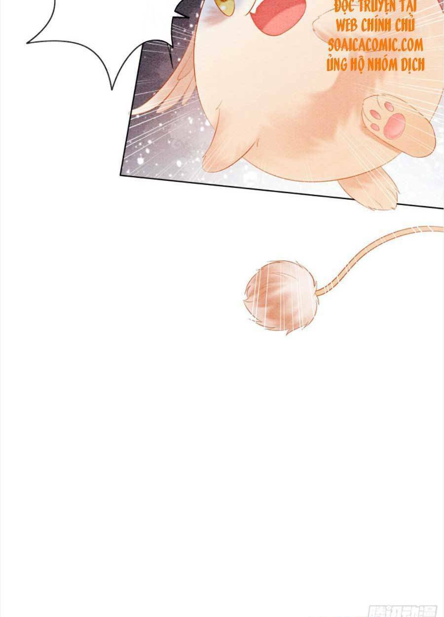 Bắt Đầu Hủy Hôn Để Công Lược Vương Gia: Chapter 27