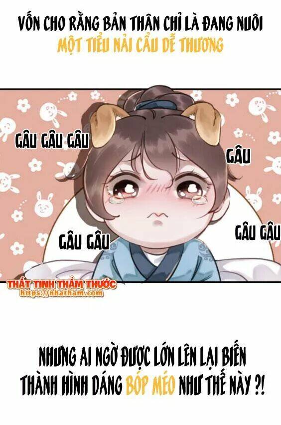 Trọng Sinh Bá Sủng Nhiếp Chính Vương Quá Mạnh Mẽ: Chapter 0