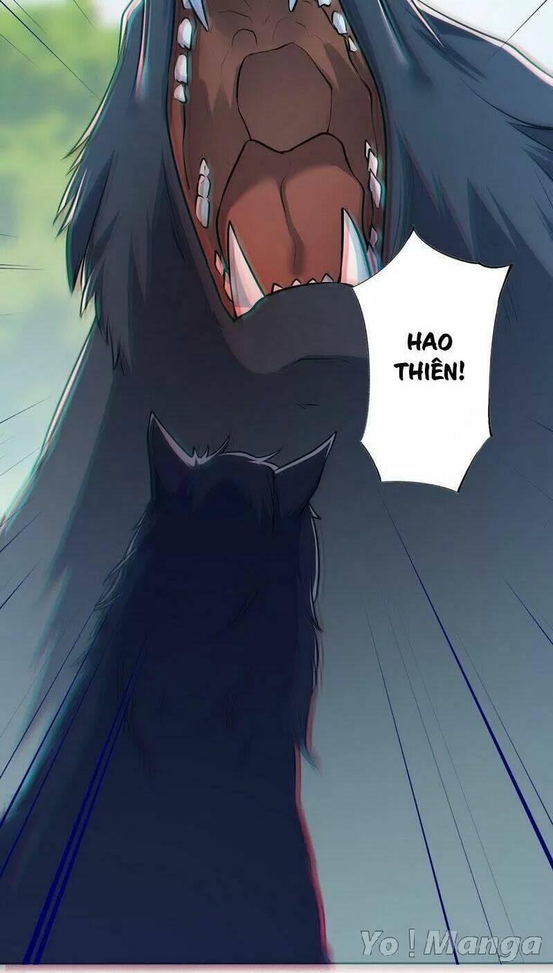 Tuyệt Thế Luyện Đan Sư: Chapter 153