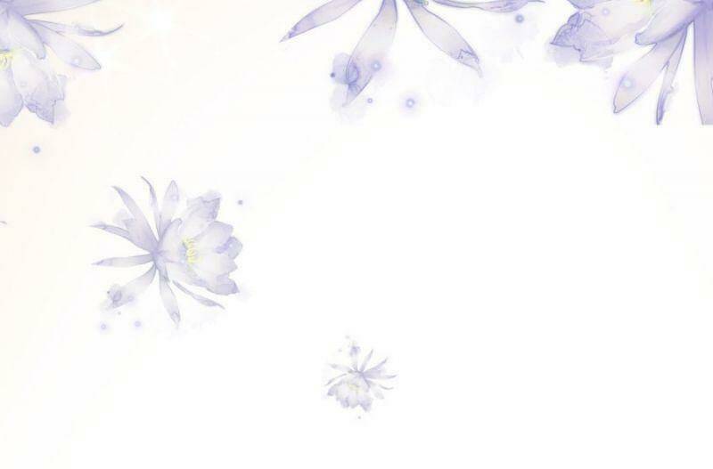 Vương Gia, Áo Lót Của Ngươi Rơi Mất Rồi: Chapter 43