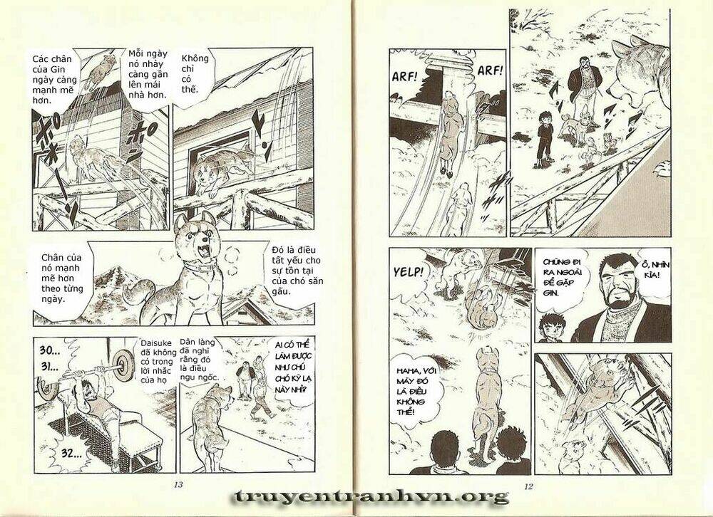 Chú Chó Có Nghĩa - Ginga Nagareboshi Gin: Chapter 7