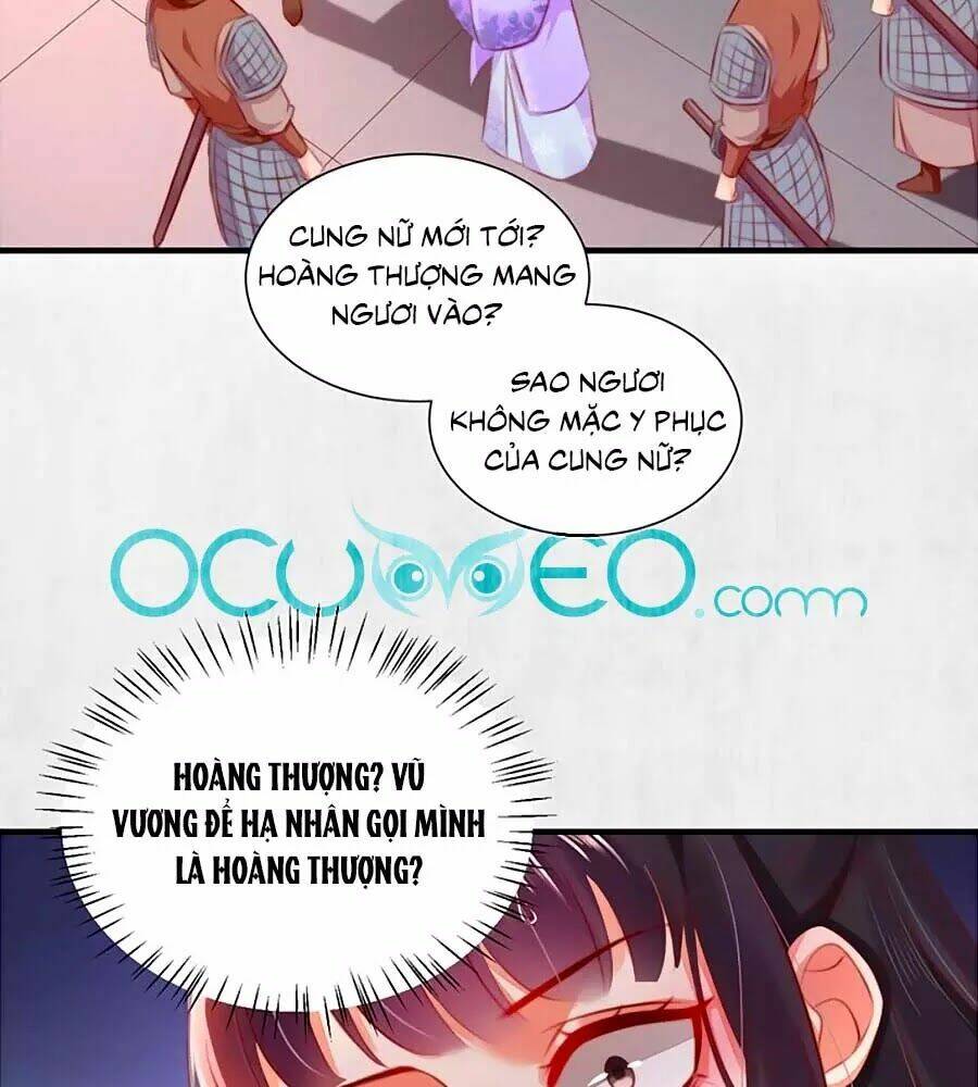 Hoạn Phi Hoàn Triều: Chapter 88