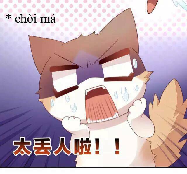 Dưới Móng Vuốt Mèo: Chapter 16