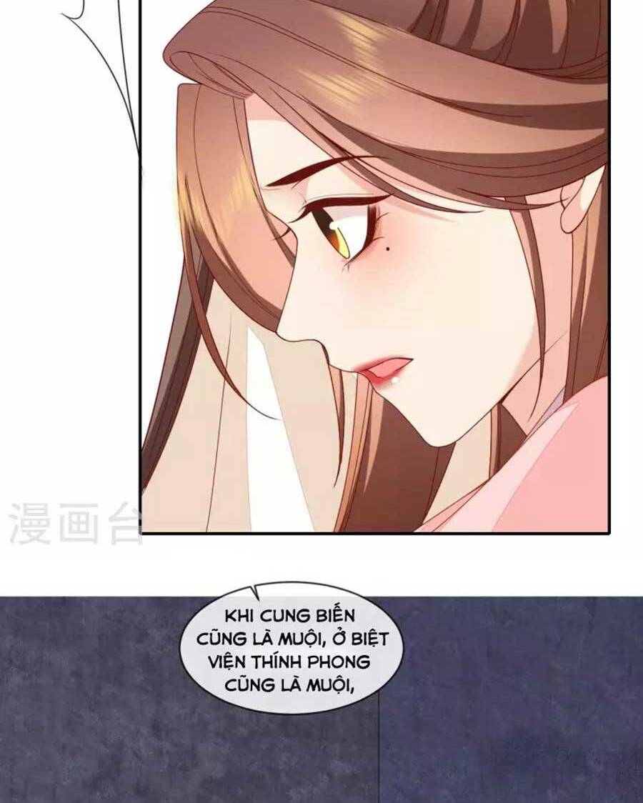 Tướng Quân, Bổn Phi Không Nhận Sủng: Chapter 27