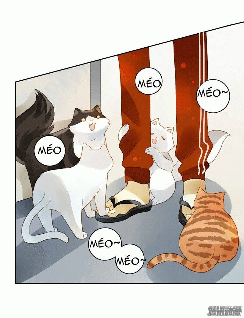 Sức Mạnh Của Sắc Đẹp: Chapter 54