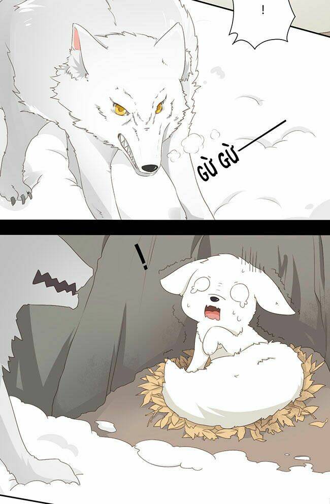 Quy Tự Dao: Chapter 41