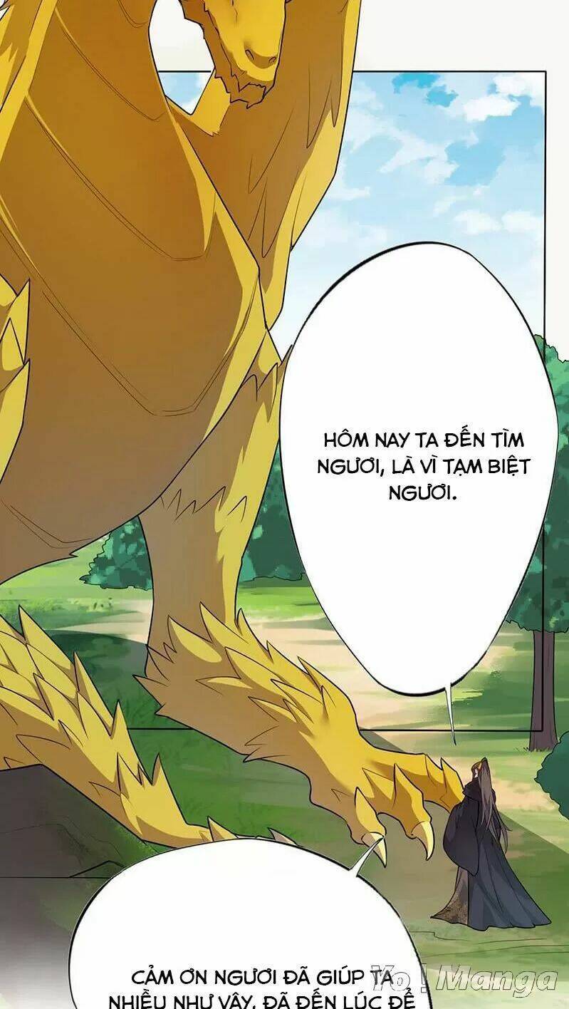 Tuyệt Thế Luyện Đan Sư: Chapter 140