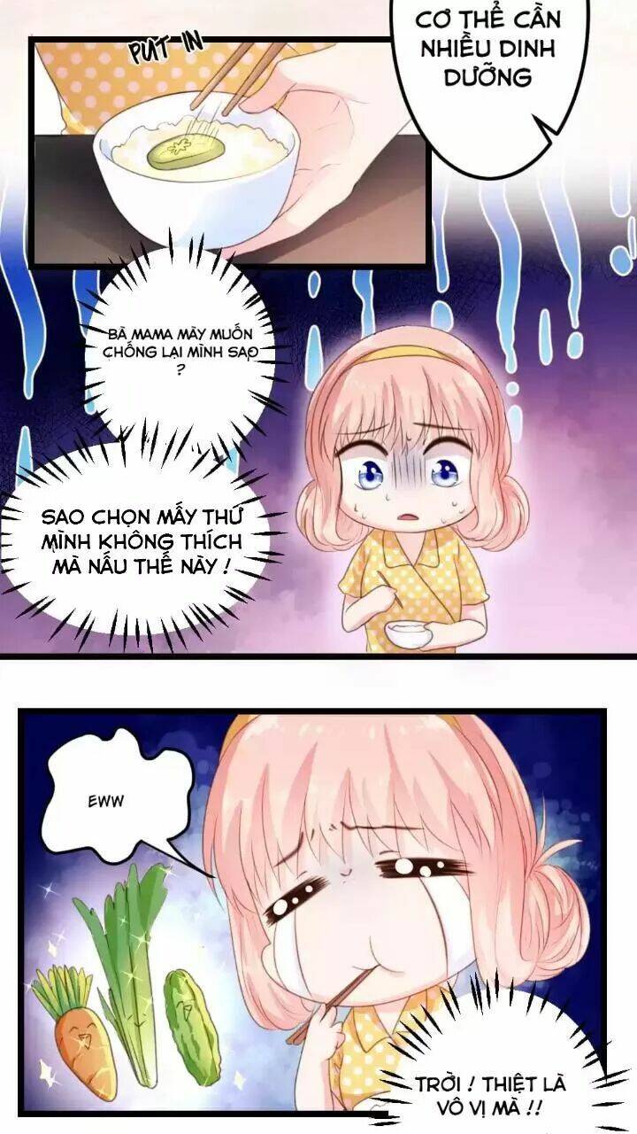 Bản Hợp Đồng Của Tổng Tài Lạnh Lùng: Chapter 6