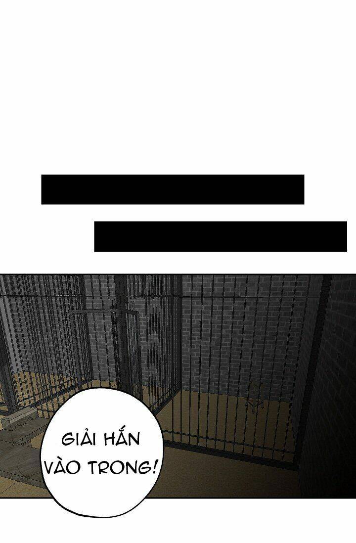 Tình Điên Dại: Chapter 15