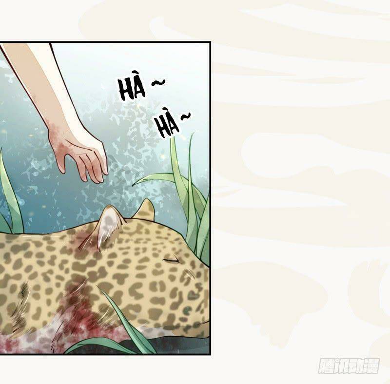 Tuyệt Thế Luyện Đan Sư: Chapter 33