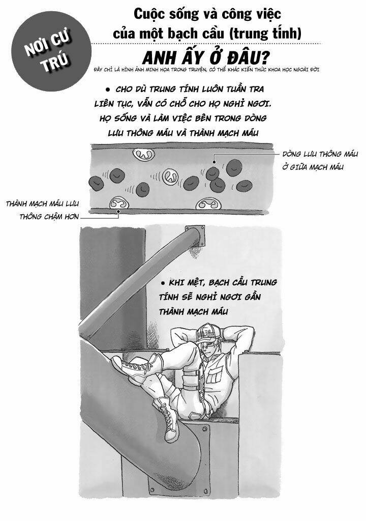 Hataraku Saibou!: Chapter 22