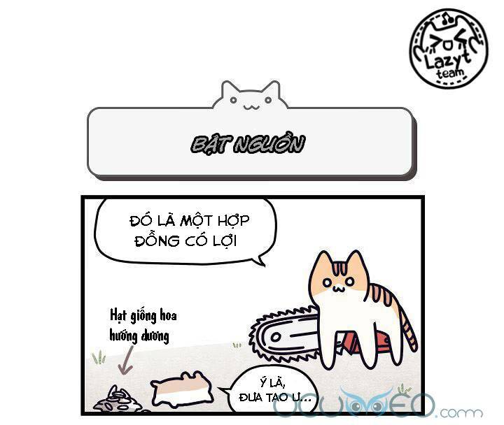 Khi Loài Mèo Làm Bá Chủ Thế Giới: Chapter 5