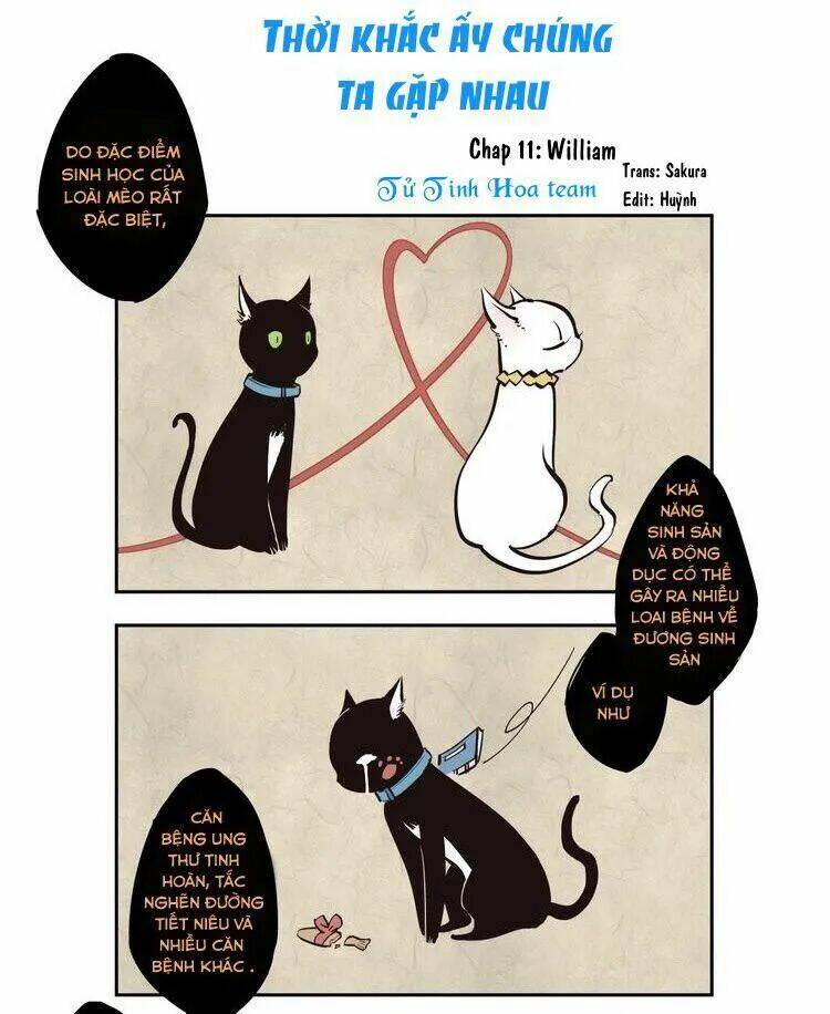 Thời Khắc Ấy, Chúng Ta Gặp Nhau: Chapter 11