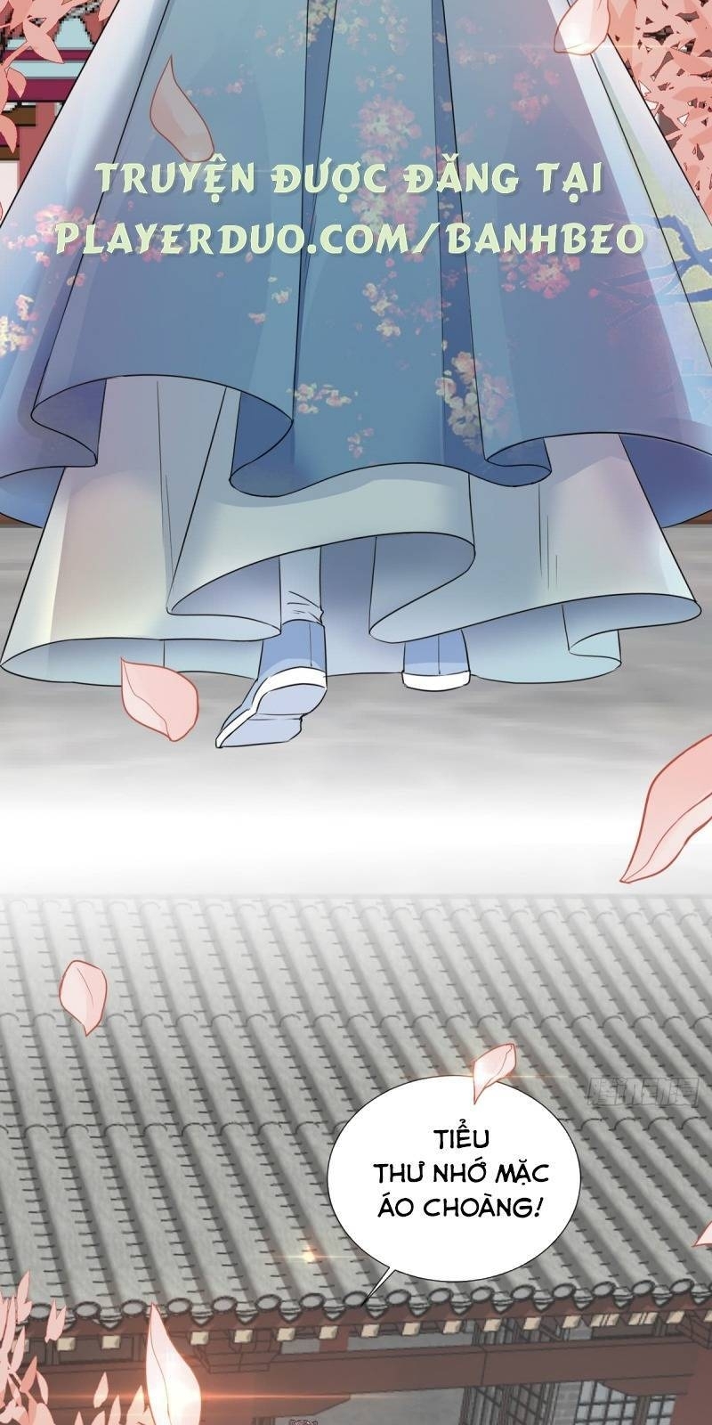 Công Lược Trưởng Thành Của Vương Phi: Chapter 2