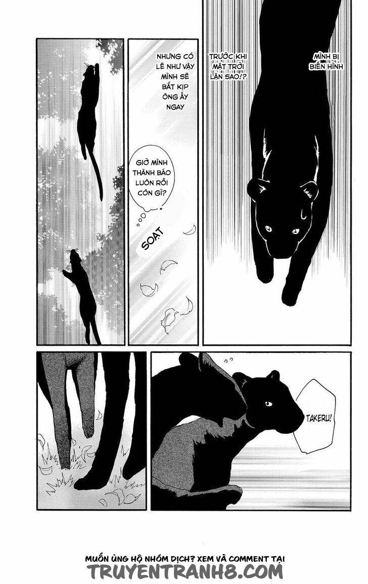 Moon Trick: Chapter 17