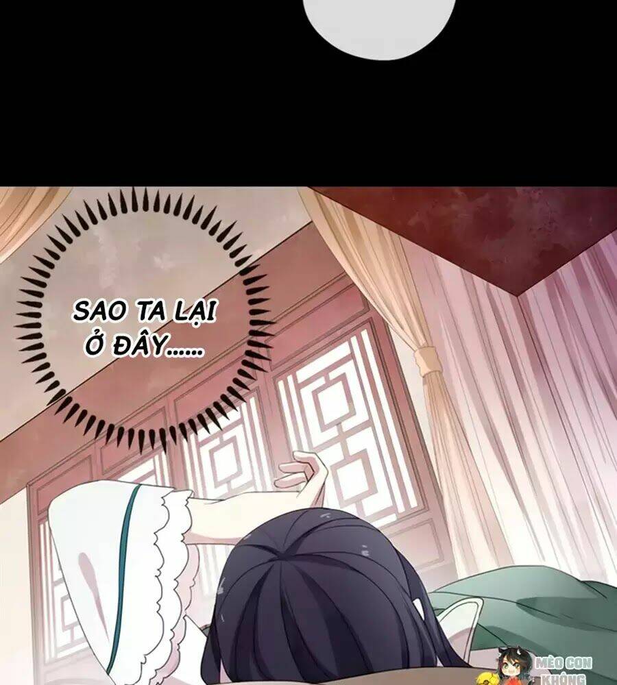 Bách Yêu Dị Văn: Chapter 81