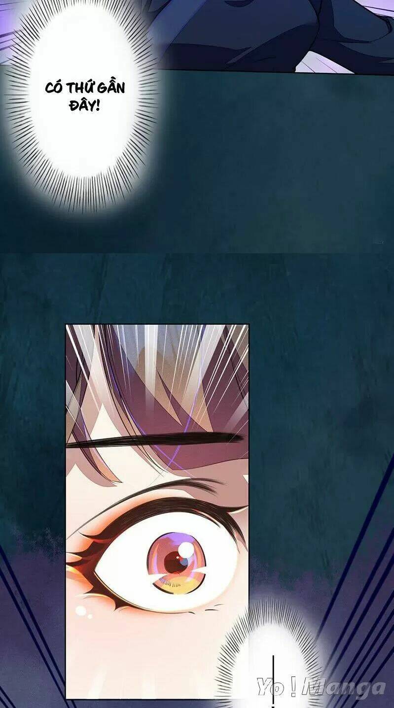 Tuyệt Thế Luyện Đan Sư: Chapter 104