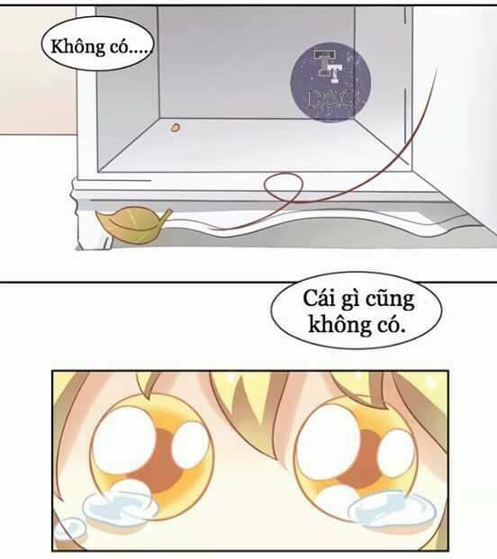 Dưới Móng Vuốt Mèo: Chapter 6
