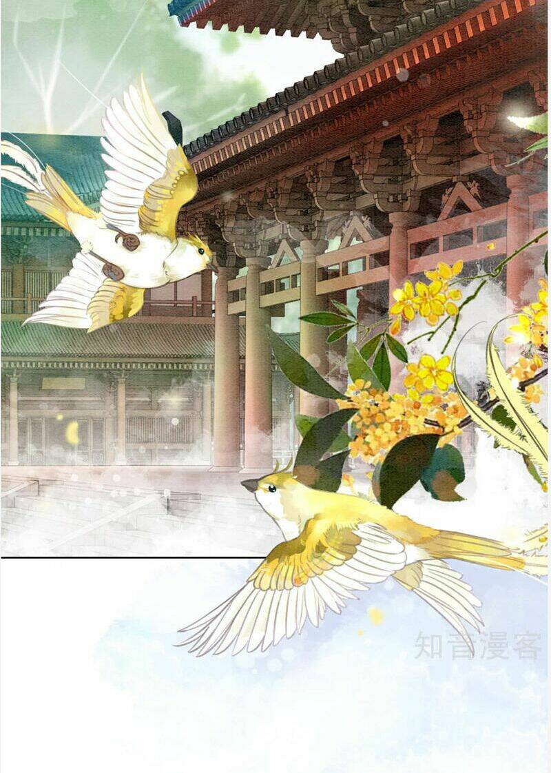 Hậu Cung Của Trẫm Cháy Rồi!: Chapter 77